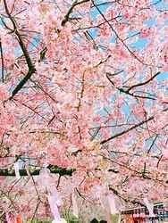 空作品-6字幕对应