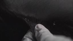 0912-19点中国版权2-首发剧26 新剧32qi episode 4