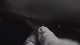 通用分级 34qi Foryou episode 4