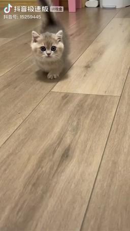 Default Name trailer