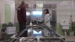 11-27 AI内容 episode 14