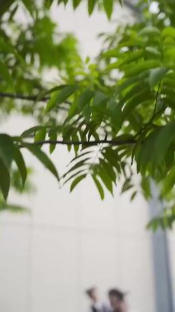 混合模式-快捷支付优-电影-26模式 episode 24