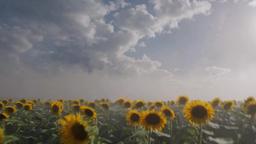 英语 太陽墜落之日【LP】*仅内部使用* episode 15