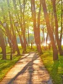 空作品-5字幕文件